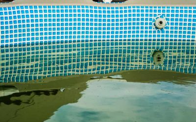 Algas en piscinas: cómo prevenir y eliminar eficazmente estos invasores acuáticos
