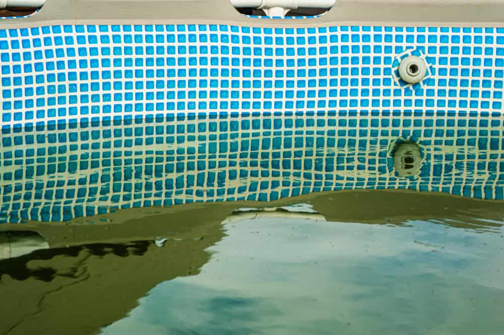 Algas en piscinas: cómo prevenir y eliminar eficazmente estos invasores acuáticos