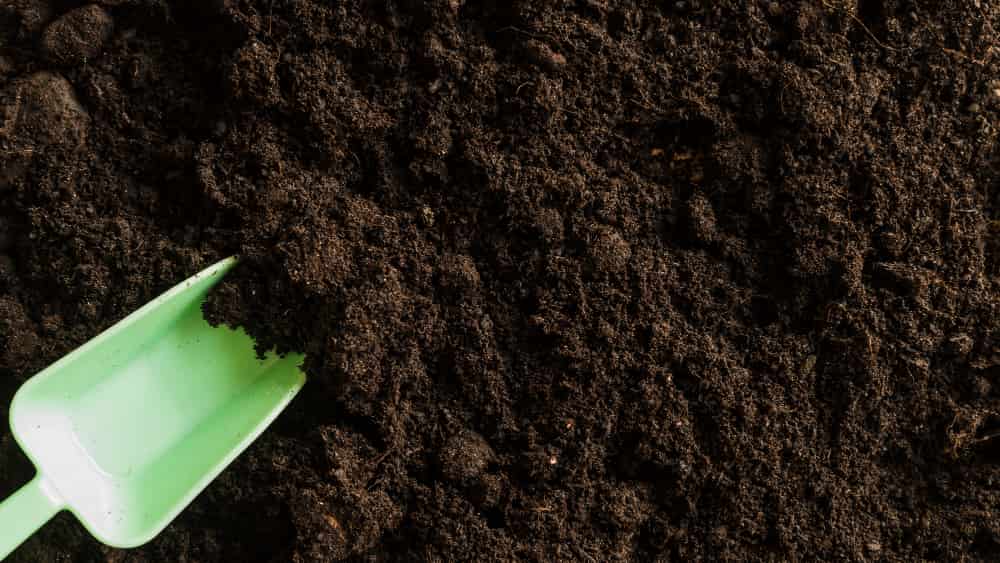Descubra os melhores fertilizantes solúveis para estimular o crescimento das plantas